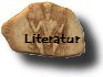Literatur