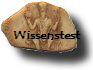 Wissenstest